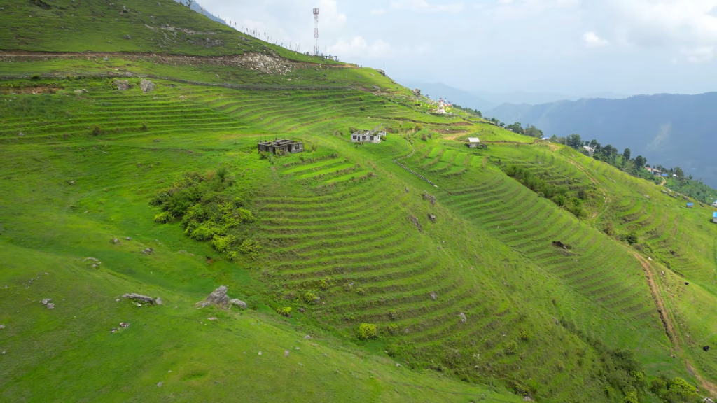 Kispang Bhalche Bheda Farm nuwakot 1
